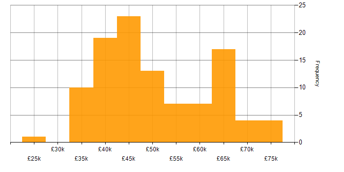 Salary histogram for Developer in Newcastle upon Tyne