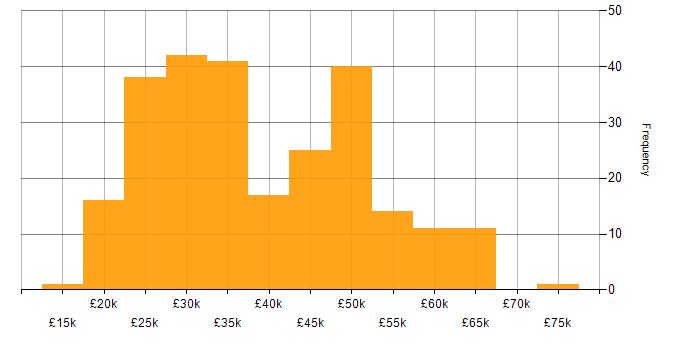 Salary histogram for DNS in the Midlands